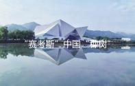 “赛考斯”中国“种树”，种下什么？
